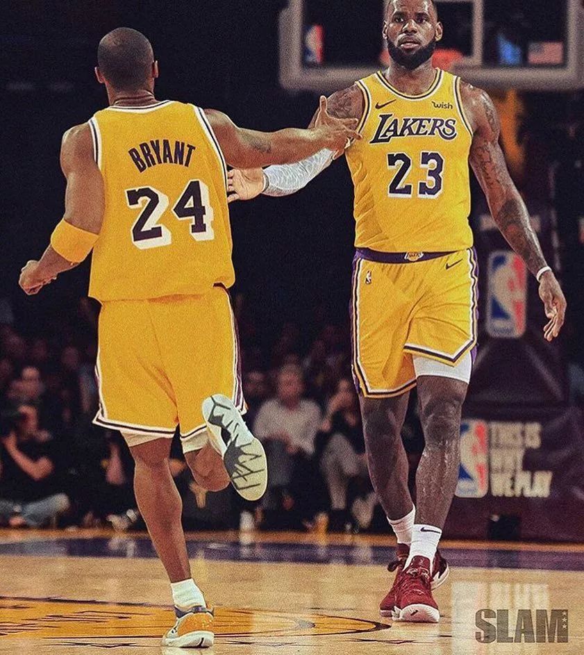 作弊提供了 作弊提供了